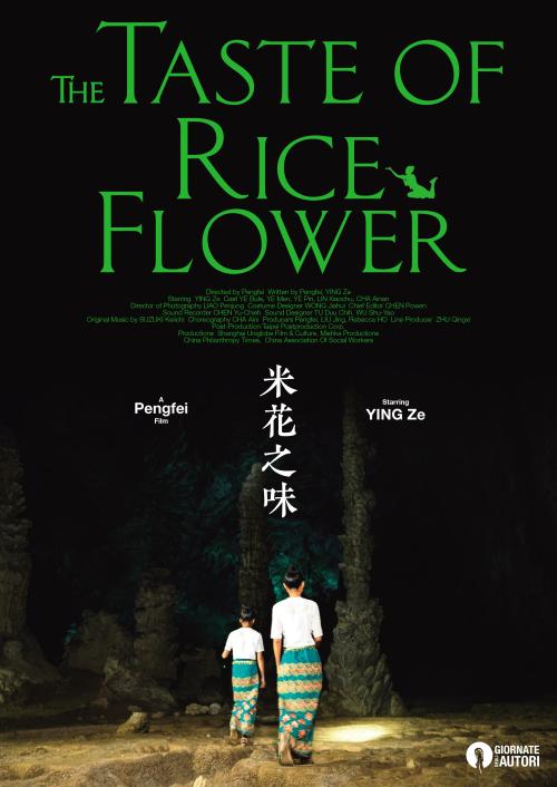 菲兰德·史密斯学院学位证办理